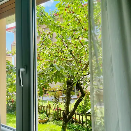 Le Rose Apartment *