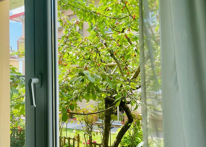 Le Rose Appartement *